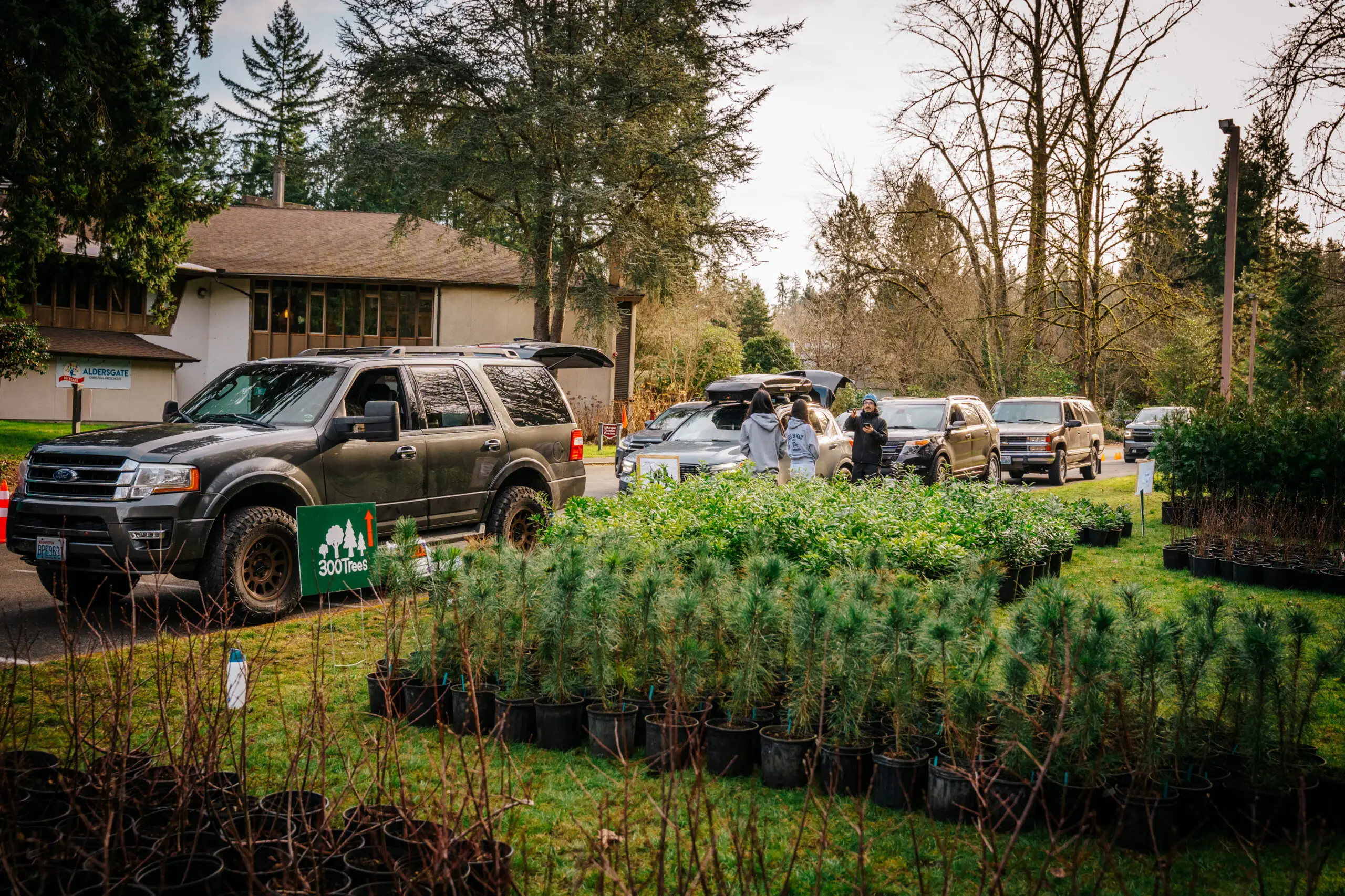 Volunteers and rows of potted young trees at a 300Trees giveaway event