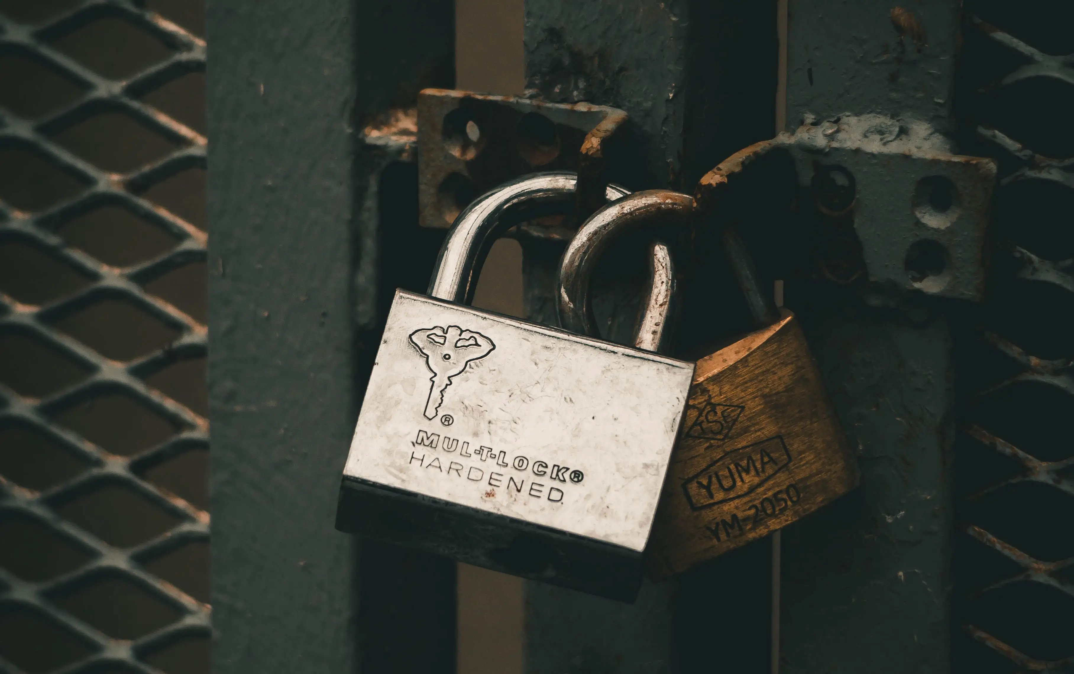 Two padlocks, one steel and one brass, linked through the hasp of a weathered green metal gate