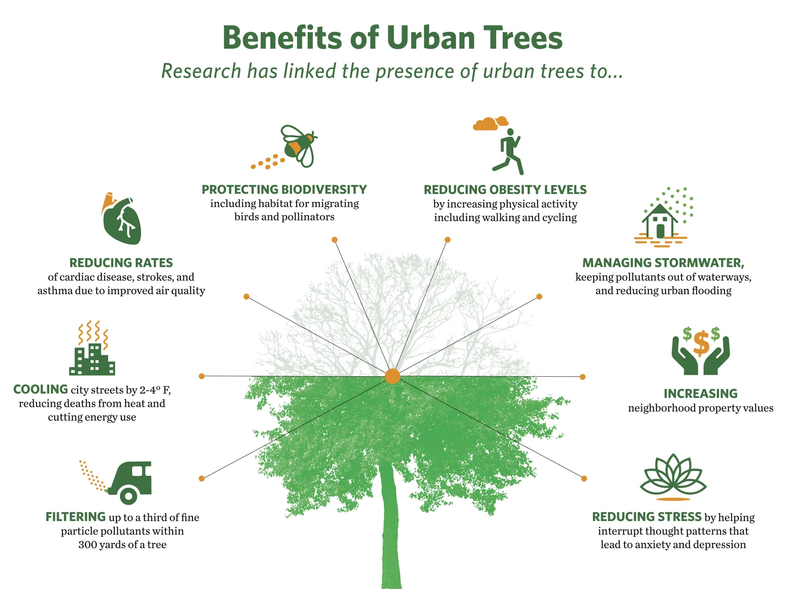 Infographic showing the benefits trees bring to cities